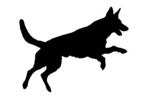 Jumping Defense German shepperd dog silhouette isolated on a white background. Vector illustration