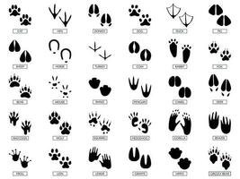 huellas de animales. silueta de pies de animales, huella de rana y siluetas de pies de mascotas imprime conjunto de ilustraciones vectoriales vector
