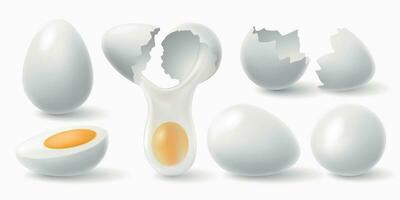 Chicken eggs. White easter egg, cracked eggshell and boiled egg 3d realistic vector illustration set