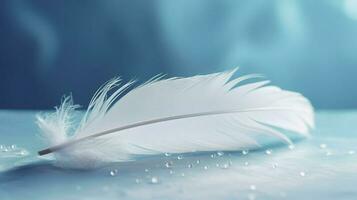 a bright blue background with one white feather, in the style of soft and dreamy pastels, glimmering light effects, nature inspired imagery, fairycore, soft focal points, generate ai photo