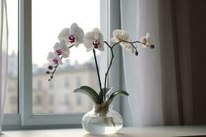 florero con orquídea flores en blanco mesa cerca ventana adentro , generar ai foto