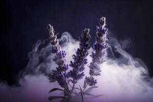 Close up lavender with scent perfume smoke , photo