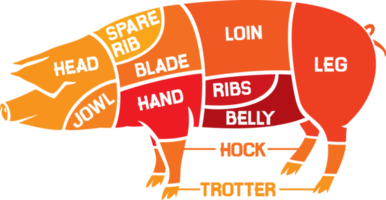 Cuts of Pork - Meat Diagrams PNG Illustration