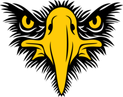 Eagle Face Front View PNG Illustration