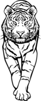 Tiger Walking PNG Illustration