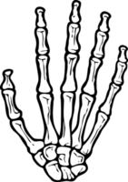 menselijk skelet hand- PNG illustratie