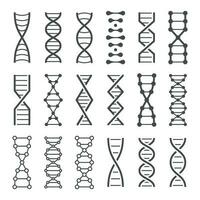 adn espiral icono. humano genética código, genoma modelo y bio laboratorio cuerda espirales vector íconos conjunto