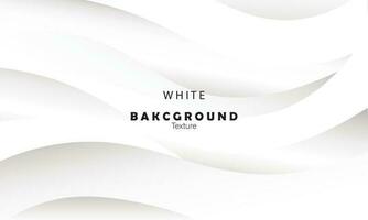 Abstract white and gray gradient background vector