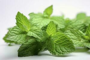 fresh green mint leaves isolated on white background, top view. Flat lay, generate ai photo