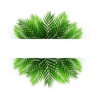 verde Coco hojas flotante con texto espacio, vector ilustración