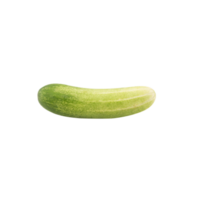 Cucumber cutout, Png file