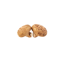 shiitake-paddenstoelknipsel, png-bestand png