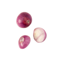 Falling Onion slice cutout, Png file