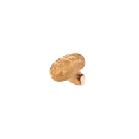 shiitake-paddenstoelknipsel, png-bestand png