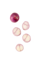 Falling Onion slice cutout, Png file