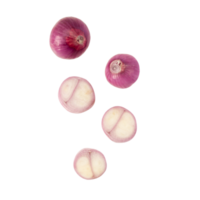 Falling Onion slice cutout, Png file