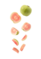 Falling Pink Guava slice cutout, Png file