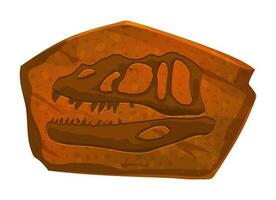 Predatory dinosaur fossil head imprint in stone vector