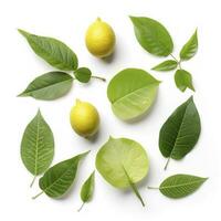 Fresh lemon with green leaves isolated on white background, generate ai photo