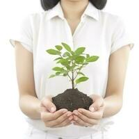 Environment Earth Day In the Tree plant in woman hand isolated on white background. Forest conservation concept, concept eco earth day. Saving the environment, ecology concept, generate ai photo