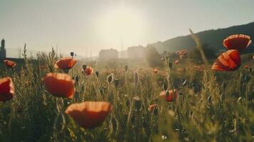 A stunning photo captures the golden hour in a field of radiant red poppies, symbolizing the beauty, resilience, and strength of nature, generate ai