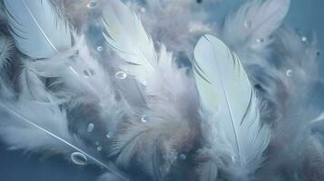 a bright blue background with one white feather, in the style of soft and dreamy pastels, glimmering light effects, nature inspired imagery, fairycore, soft focal points, generate ai photo