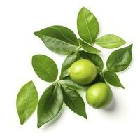 Fresh lemon with green leaves isolated on white background, generate ai photo