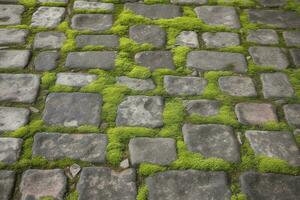 empedrado acera, verde musgo Entre ladrillo antecedentes. antiguo Roca pavimento textura. enguijarrado de cerca con verde césped en el costuras Roca pavimentado pasarela en antiguo pueblo foto