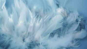 a bright blue background with one white feather, in the style of soft and dreamy pastels, glimmering light effects, nature inspired imagery, fairycore, soft focal points, generate ai photo