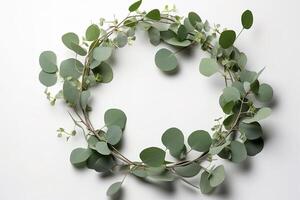 Wreath made of eucalyptus branches. Green floral frame made of eucalyptus leaves. Decorative wreath isolated on white. Minimal natural composition, botanical design, flat lay, top view. photo