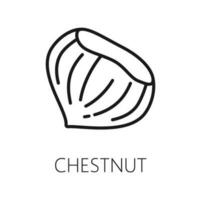 Chestnut isolated edible sweet nut outline icon vector