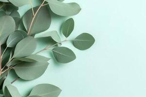 Natural eucalyptus leaves on mint pastel green background. Flat lay floral composition, top view, copy space, generate ai photo