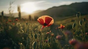 un maravilloso foto capturas el dorado hora en un campo de radiante rojo amapolas, simbolizando el belleza, resiliencia, y fuerza de naturaleza, generar ai