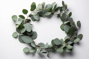 Wreath made of eucalyptus branches. Green floral frame made of eucalyptus leaves. Decorative wreath isolated on white. Minimal natural composition, botanical design, flat lay, top view. photo