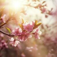 Spring border or background art with pink blossom. Beautiful nature scene with blooming tree and sun flare , generat ai photo