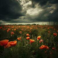 Dramatic Poppy flowers field. Anzac day banner. Remember for Anzac, Historic war memory. Anzac background. Poppy field, Remembrance day. , generate ai photo