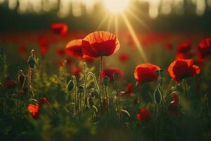 anzac día monumento amapolas campo de rojo amapola flores a honor caído veteranos soldados en batalla de anzac armisticio día. flores silvestres floreciente amapola campo paisaje, generar ai foto