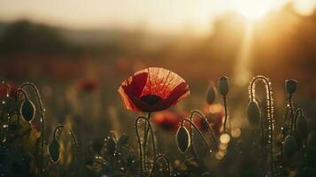 un maravilloso foto capturas el dorado hora en un campo de radiante rojo amapolas, simbolizando el belleza, resiliencia, y fuerza de naturaleza, generar ai