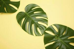 Beautiful tropical palm monstera leaves branch isolated on pastel yellow background, top view, flat lay, overhead above summer beauty blank design concept , generate ai photo