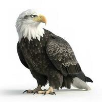 Eagle isolated on white background, generate ai photo