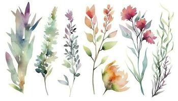 Beautiful abstract watercolor colorful flower design. Watercolor floral seamless pattern with colorful wildflowers, leaves. Colorful spring flower background with watercolor, generate ai photo