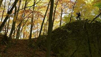 lent mouvement métrage de Jeune promeneur randonnée scénique Roche formation dans le automne. video