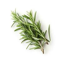 Fresh green organic rosemary leaves and pepper isolated on white background. natural transparent shadow, Ingredient, spice for cooking. collection for design, generate ai photo