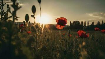 A stunning photo captures the golden hour in a field of radiant red poppies, symbolizing the beauty, resilience, and strength of nature, generate ai