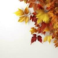 Autumn leaves isolated on white background , generate ai photo