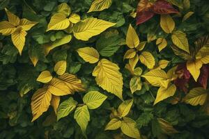Foliage background with a variety of vibrant plant leaves showing a diverse ecosystem and the biodiversity of nature with unique gold plant leaves.  Earth day background. , generate ai photo