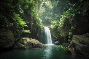 waterfall in a tropical jungle photo