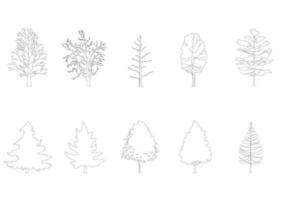 tree line drawing, Side view, graphics trees elements single object outline minimal plant symbol for architecture and landscape design. Vector illustration in stroke fill in white. forest, tropical.