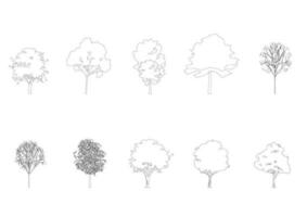 tree line drawing, Side view, graphics trees elements single object outline minimal plant symbol for architecture and landscape design. Vector illustration in stroke fill in white. forest, tropical.