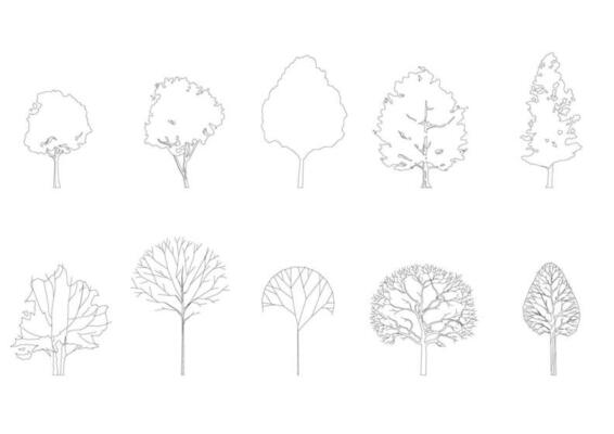tree line drawing, Side view, graphics trees elements single object outline minimal plant symbol for architecture and landscape design. Vector illustration in stroke fill in white. forest, tropical.